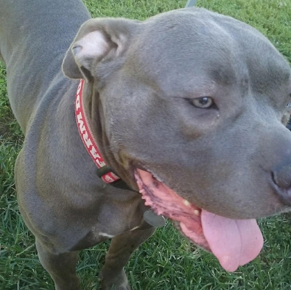 Meet your Posher, Eric - Picture 5 of 8